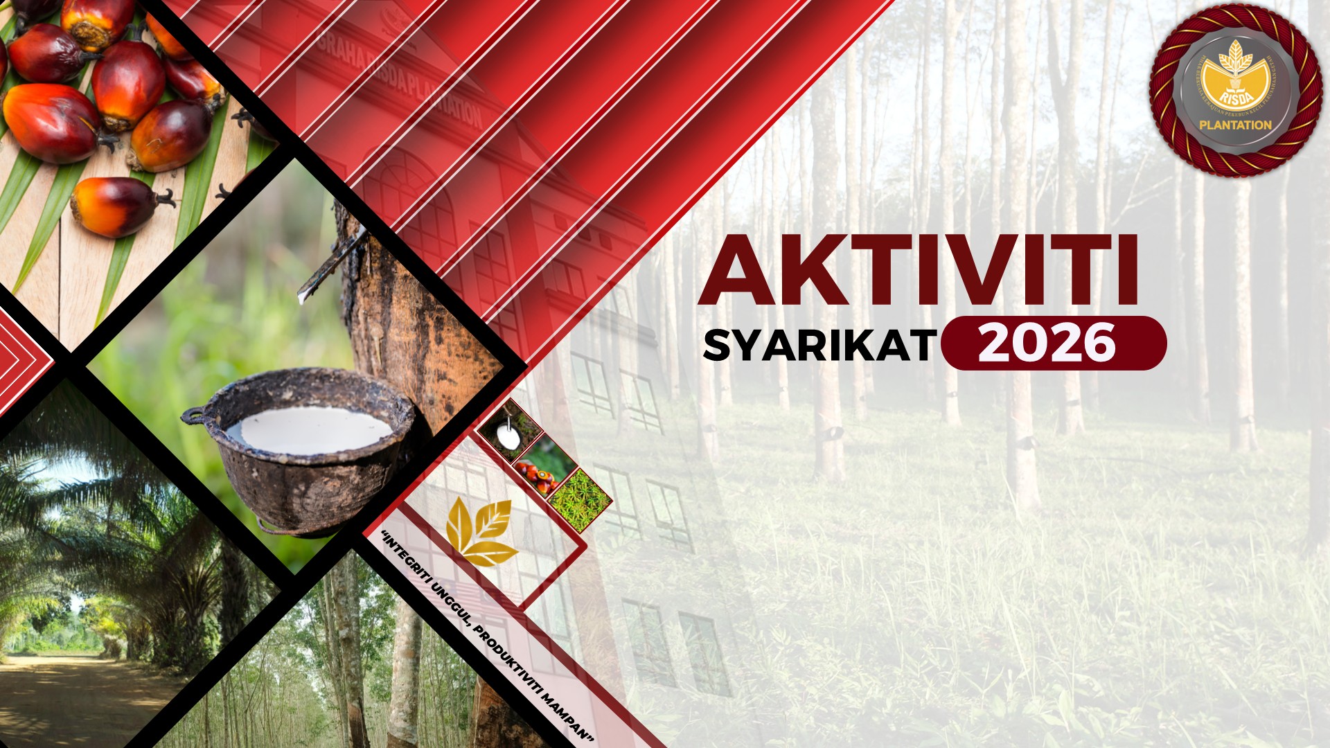 kelapa sawit1