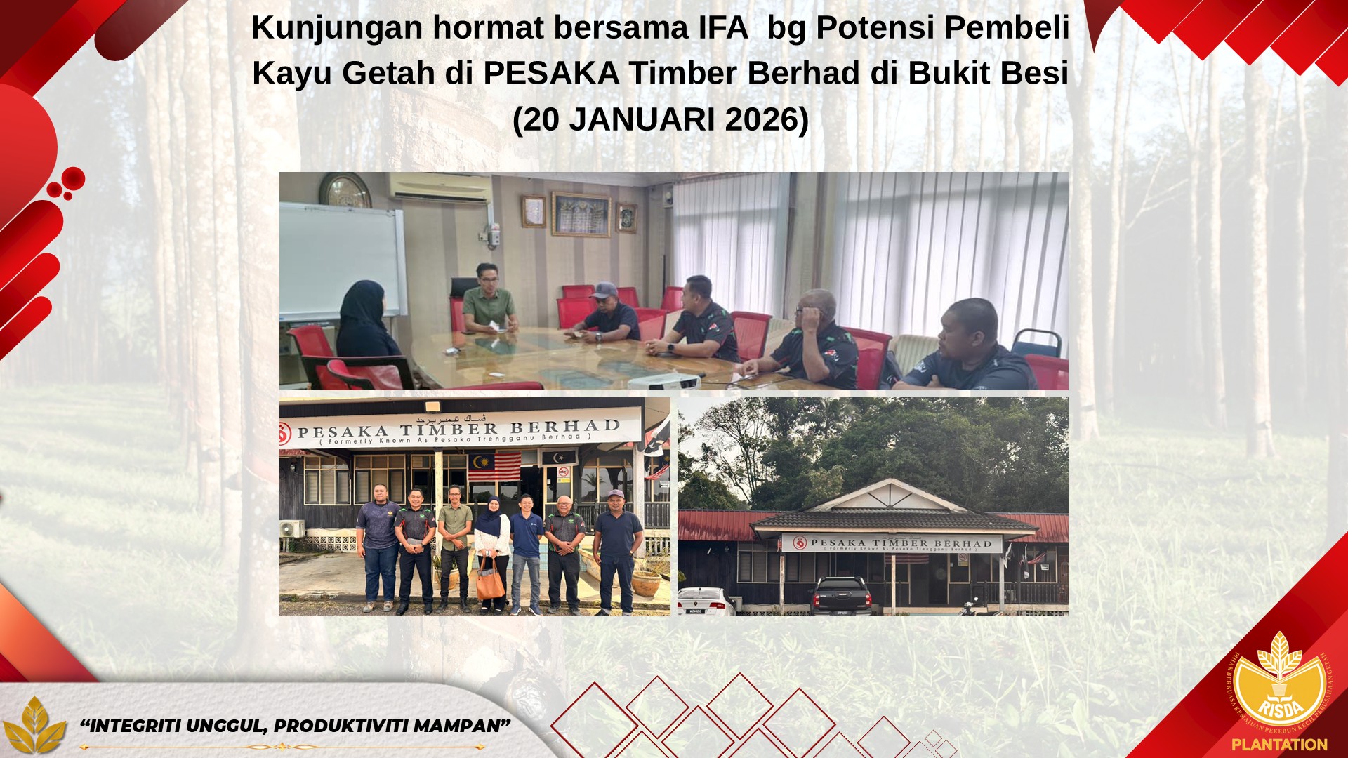 kelapa sawit2