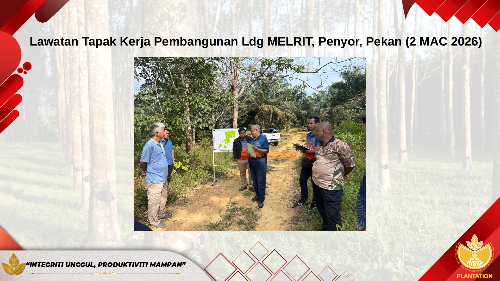 kelapa sawit3