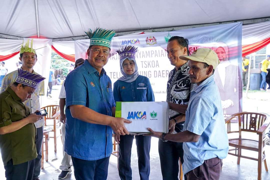 kelapa sawit122